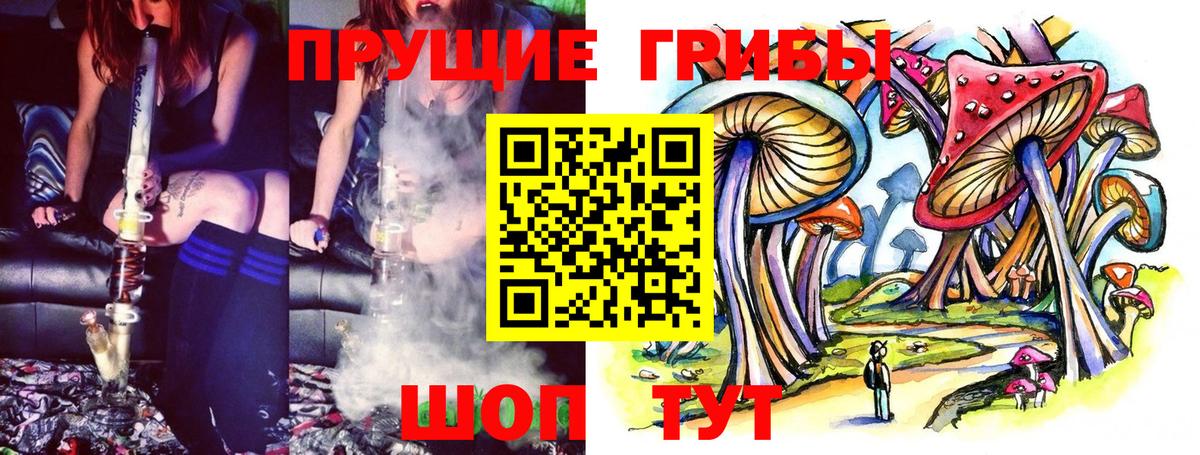 Псилоцибиновые грибы прущие грибы Туапсе