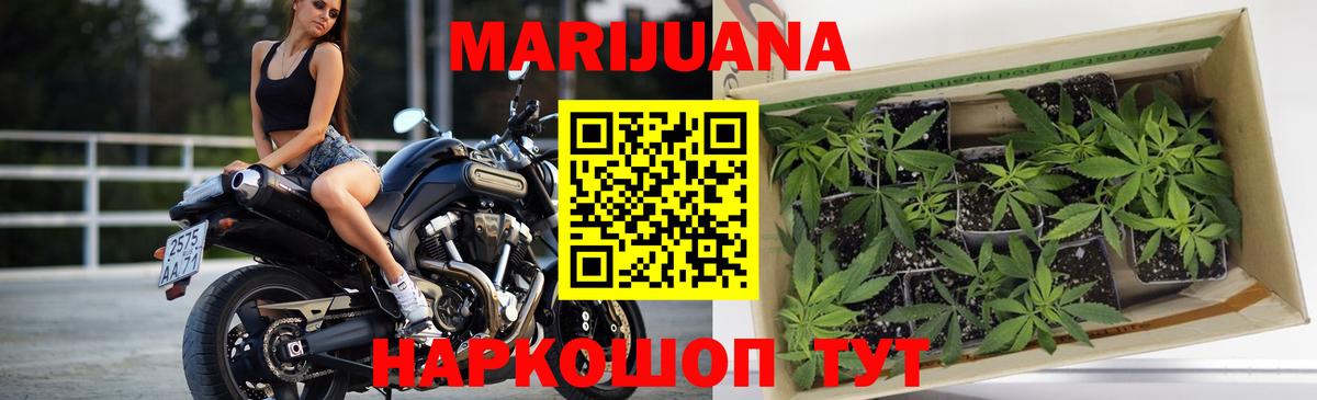 Бошки марихуана ГИДРОПОН Туапсе